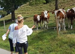 teamausflug 2018